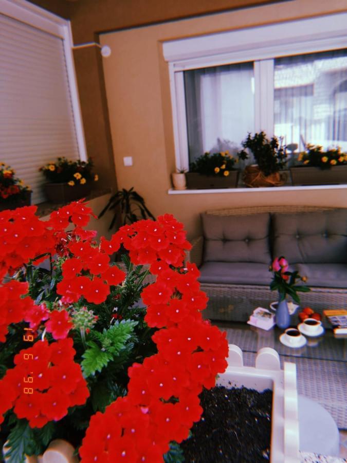 Apartman Jela Nova Varoš Екстериор снимка