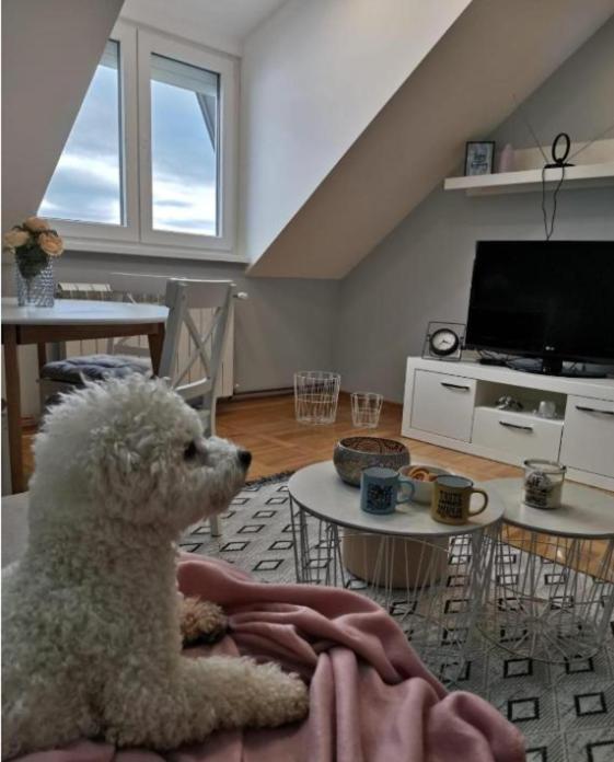 Apartman Jela Nova Varoš Екстериор снимка