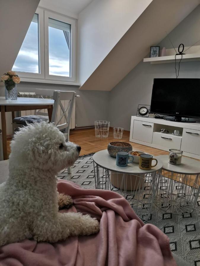 Apartman Jela Nova Varoš Екстериор снимка